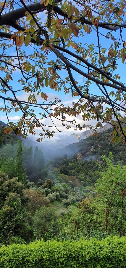 Saluda Alta ξενώνας Castril Εξωτερικό φωτογραφία
