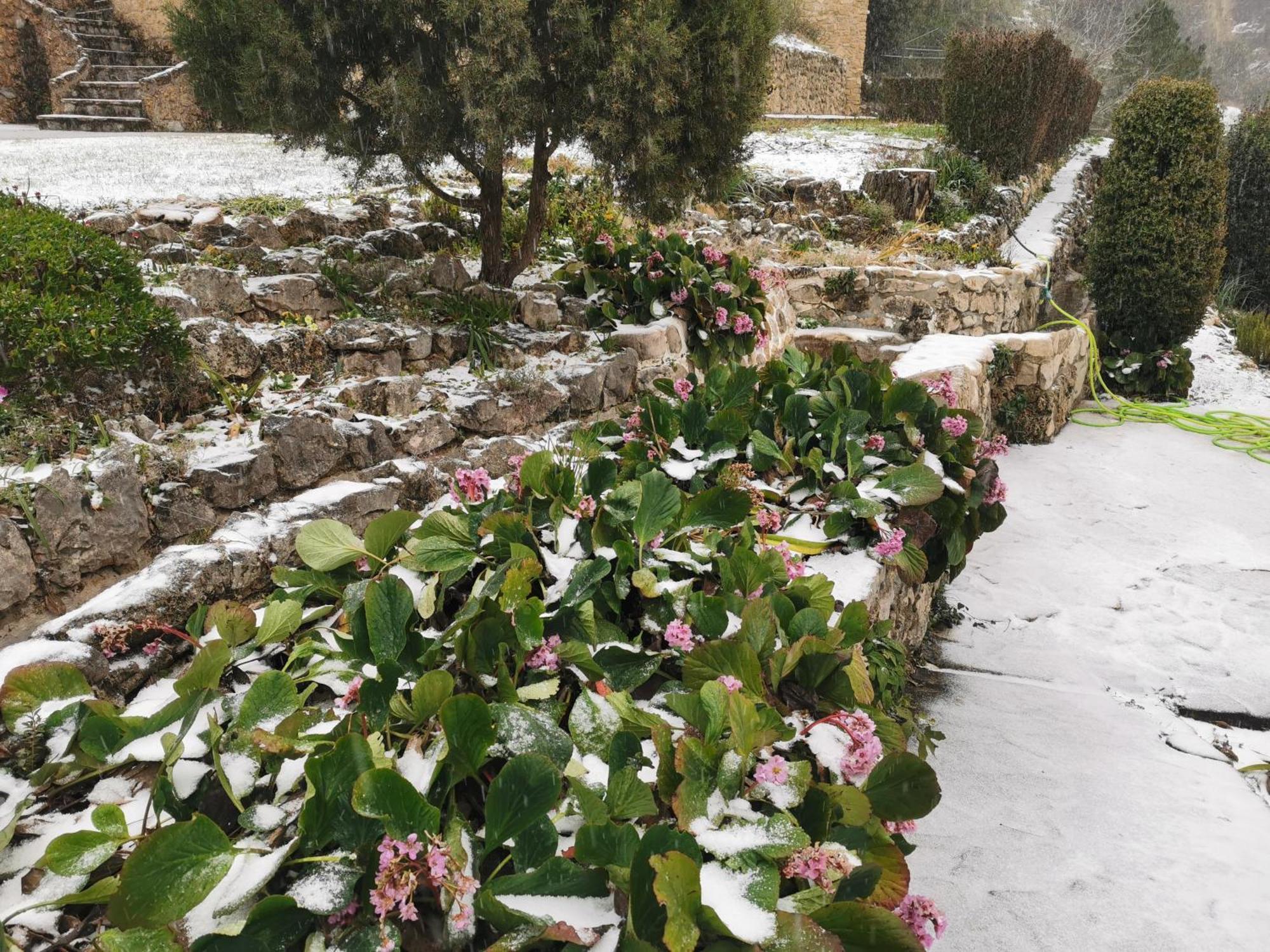 Saluda Alta ξενώνας Castril Εξωτερικό φωτογραφία